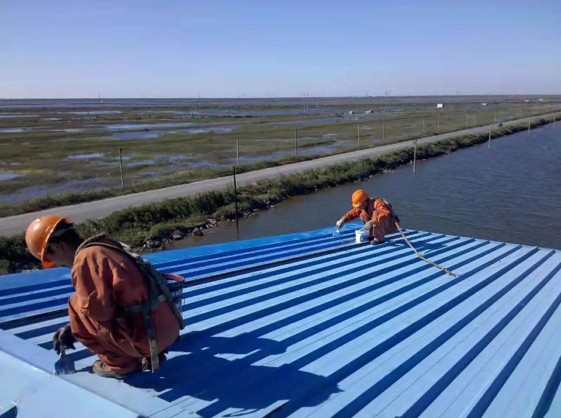 鹤峰彩钢瓦屋面防腐翻新